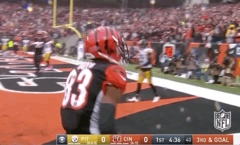 2018 Nfl Football GIF by NFL
