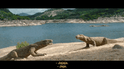 dominos lol GIF by Domino's Pizza