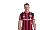 Bayer 04 Football Sticker by Bundesliga