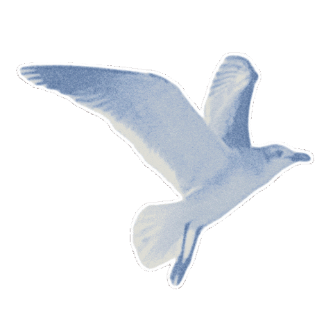 Summer Beach Sticker by Taylor Swift