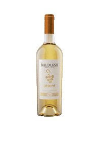 balduzziwines wine chile vino vinho Sticker