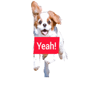 Dogs Sticker
