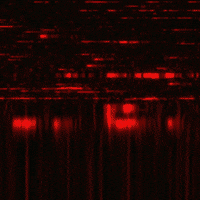 Crypto Privacy GIF by RGT Cycling