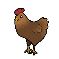 Chicken Sticker