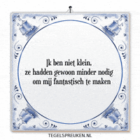 Nl Verandering GIF by Tegelspreuken.nl