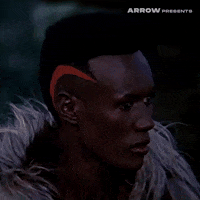 Arnold Schwarzenegger Film GIF by Arrow Video