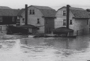flood flooding GIF