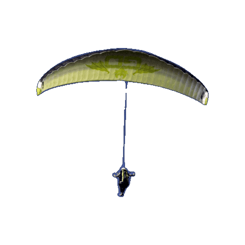 GreenDragonsAirsports giphygifmaker Sticker