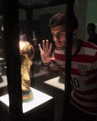 World Cup GIF