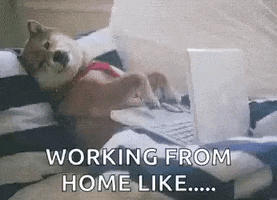 Corona Working From Home GIF by MOODMAN