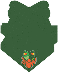 ZabinyBrno sport basketball women woman Sticker