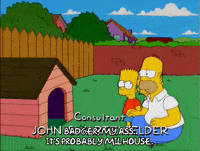 homer simpson GIF