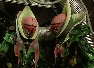 kateward66d3 giphyupload GIF