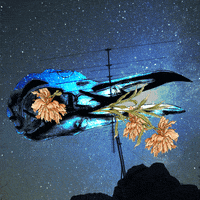 night sky GIF by NeonMob