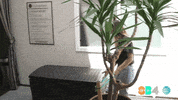 summer surprise GIF by @SummerBreak