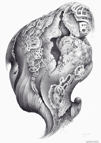 symonacolina giphyupload portrait profile symonacolina GIF