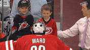 hockey nhl GIF by Carolina Hurricanes
