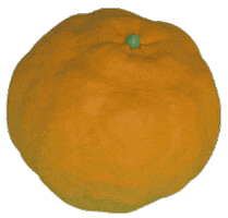 animation art GIF by jellygummies