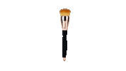 Ros Makeup Brush Sticker by Gabyros