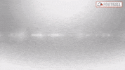Cnfb GIF by Carson-Newman Athletics
