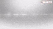 Cnfb GIF by Carson-Newman Athletics