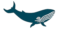 Ocean Sea Sticker by NHM Wien