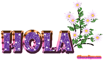 hola STICKER