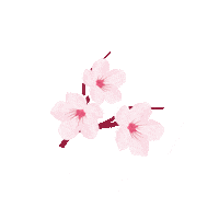 Travel Explore Sticker by Google