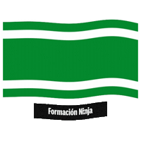 Las Palmas Flag Sticker by Formación Ninja
