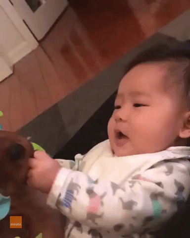 Baby and Puppy Play Together on the Bouncer