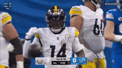 Celebration Nfl GIF by Pittsburgh Steelers