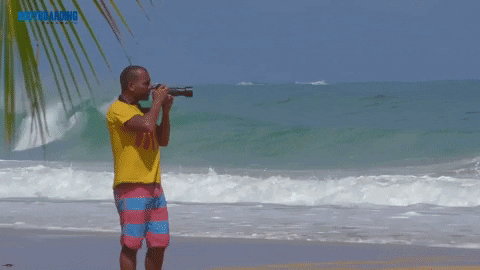 Sport Beach GIF by Bodyboarding Panama