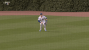 Chicago Cubs Baseball GIF