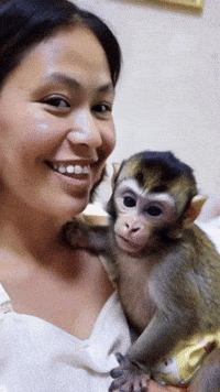 Monkey Kiss GIF by systaime