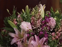 season 2 netflix GIF by Gilmore Girls 