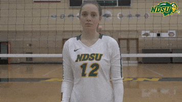 Volleyball Bison GIF by NDSU Athletics