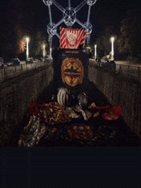 Winners Wins GIF