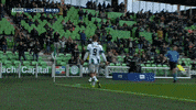 GIF by FOX Sports