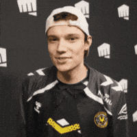 Vct GIF by Team Vitality