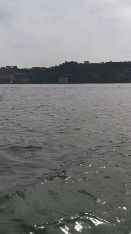 IronFire0414 giphyupload GIF