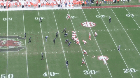 theriotreport giphyupload GIF