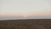 New Mexico Missionary GIF by NAMB Social