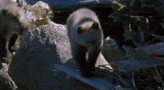 GIF by David