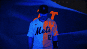 Mlb Nyc GIF by New York Mets