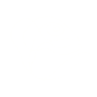 bedofrosessilk white flowers bed roses Sticker