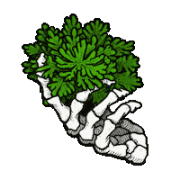 BeastieandBone plant skeleton botanical succulent Sticker