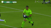 Liga Mx Football GIF by MiSelecciónMX