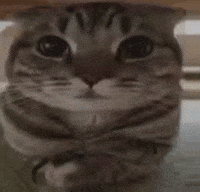 crazy1610  GIF