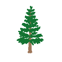 Bridgeliner tree portland evergreen bridgeliner Sticker