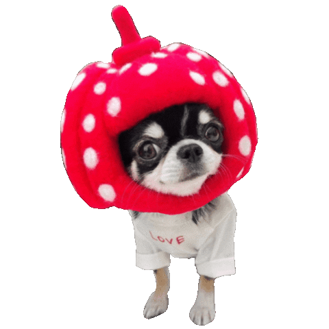 Dog Halloween Sticker